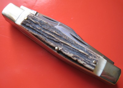 BUCK CREEK GENUINE STAG DIAMOND BACK.jpg