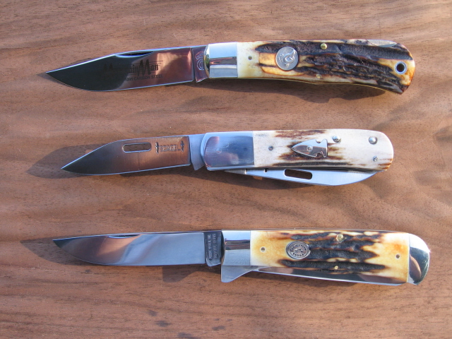 stag1095b.jpg