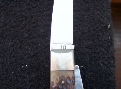 100_9691.JPG