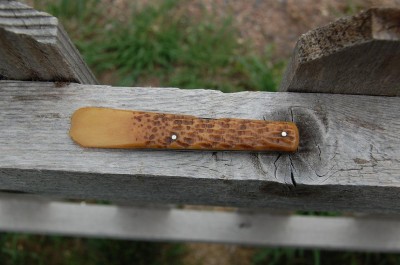 budding knife 001.JPG