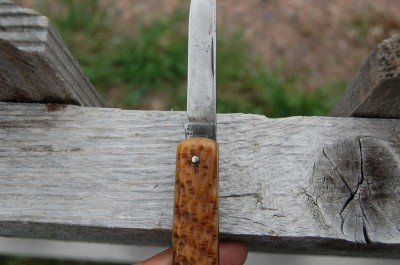 budding knife 005.JPG