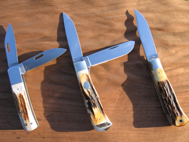 stag1095a.jpg