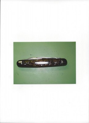 Carmillus No. 10.jpg