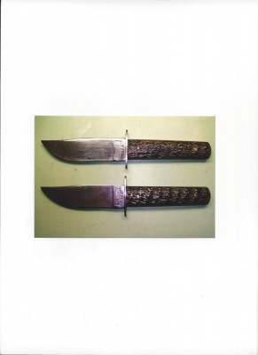 Carmillus No. 11.jpg