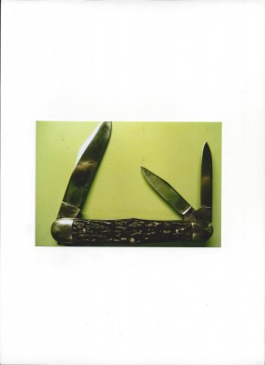 Carmillus No. 13.jpg