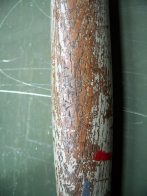 100_0793.JPG