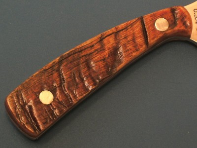 RAMS HORN-4.jpg