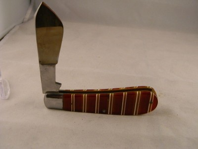 Case Cotton 2.jpg