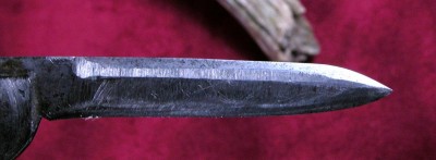 DSCN3402A.jpg