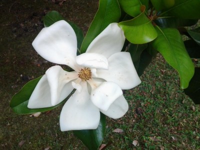 20150604_111256.jpg
