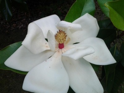 20150604_111309.jpg
