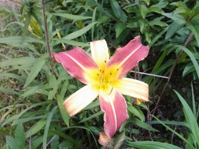 20150604_111423.jpg
