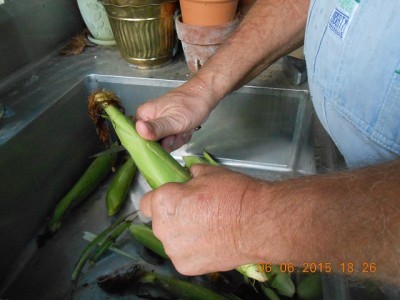 2015-06-06 001 005r.jpg
