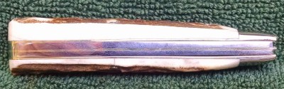 Case Custom stag 6202 d.jpg