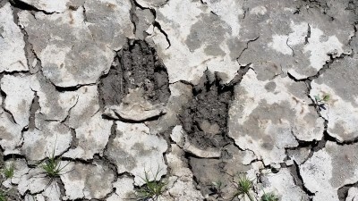 06JUN2015_Slumbering Hills Range_water hole Badger Tracks.jpg