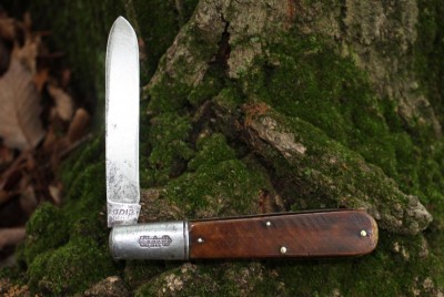 IMG_3618.jpg
