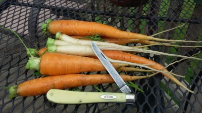 20150629_094138.jpg