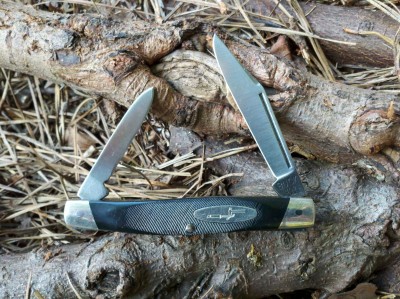 Buck 309 Companion.jpg