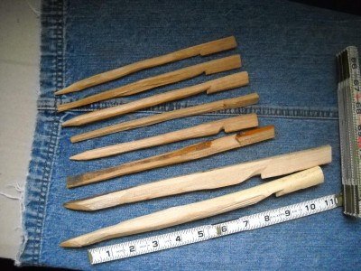 DSCN4616.JPG