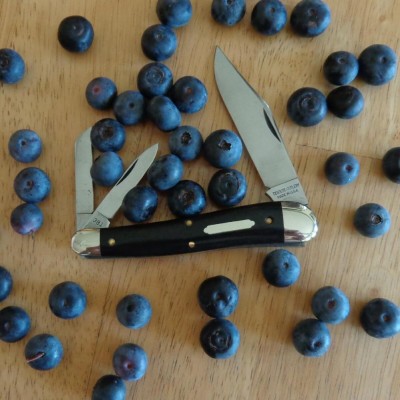 My blueberries back in May.