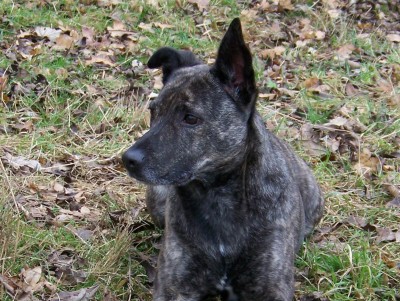 missy