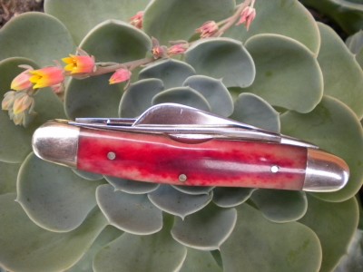 DSCN2266.JPG