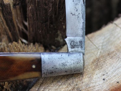 IMG_3818.jpg