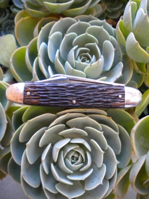 DSCN2416.JPG