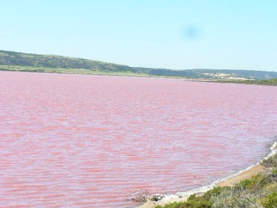 P1030565.JPG