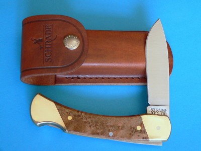 LB7DP BirdseyeMaple.jpg