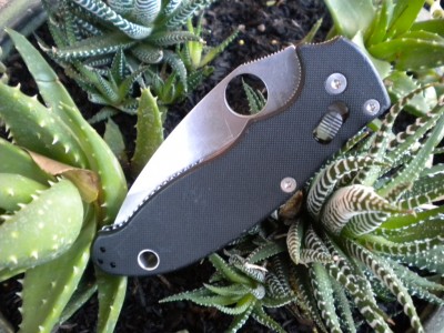 DSCN2657.JPG