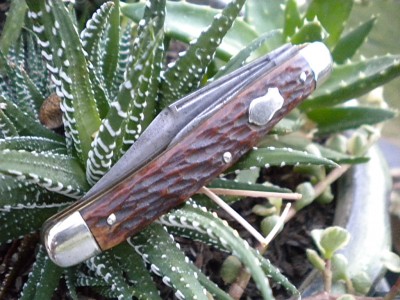 DSCN2837.JPG