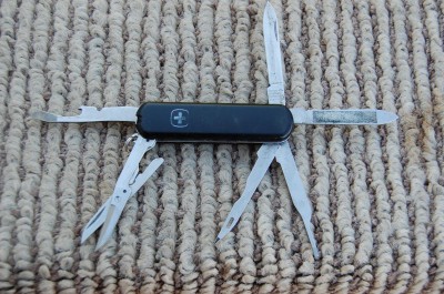 winger 001.JPG