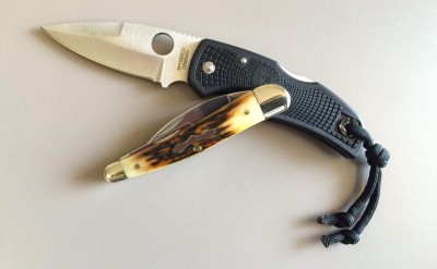 native01.JPG