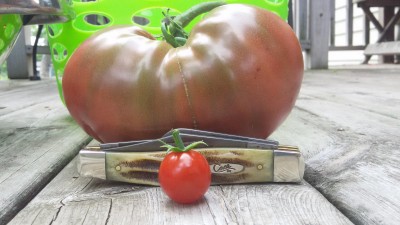 20150814_100537.jpg
