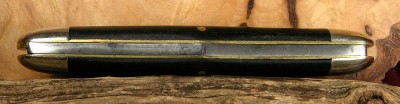 Bottom View - Spring DSCN4476A.jpg