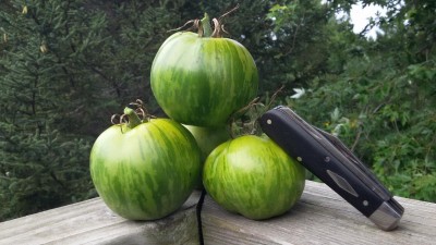 20150819_183314.jpg