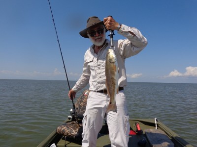 Redfish.jpg