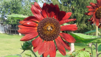20150901_084053.jpg