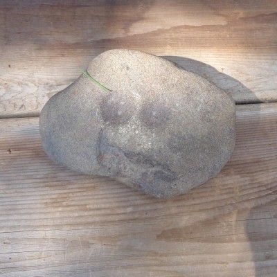 Nutting stone
