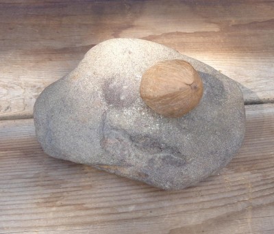 Nutting stone