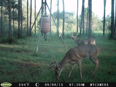 These 2 make the ol' heart beat a faster!