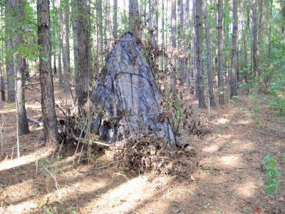 IMG_0008 (2).JPG