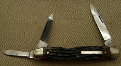 TerrierWhittler2.jpg
