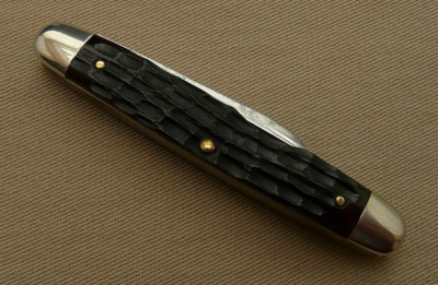 TerrierWhittler5.jpg
