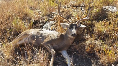 05OCT2015_Mule Deer Hunt_Jerrys Buck.jpg