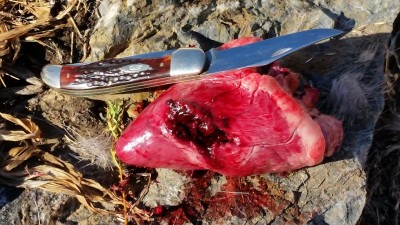 05OCT2015_Mule Deer Hunt_Jerry_Mule Deer heart and CASE XX 6265 Hunter.jpg