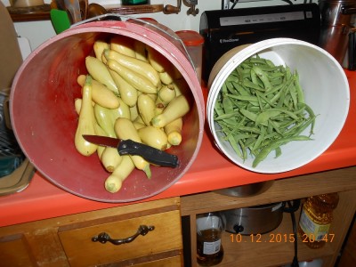 2015-10-12 001 024r.jpg