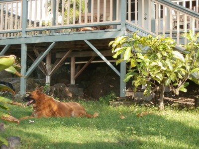 PA091092.JPG