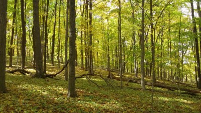 20151015_125617.jpg